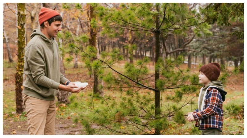 Tree Care