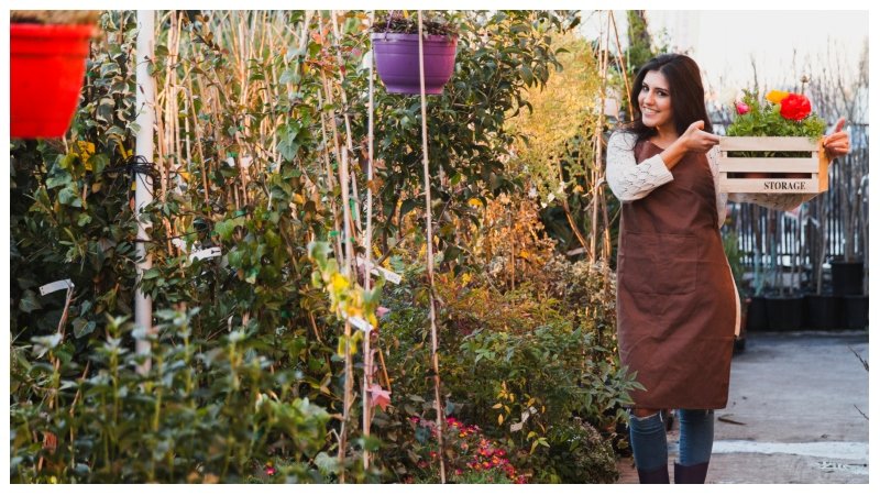 Yard Trends